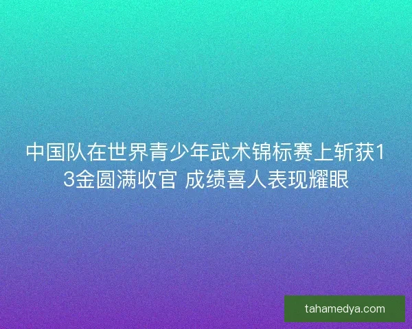 中国队在世界青少年武术锦标赛上斩获13金圆满收官 成绩喜人表现耀眼
