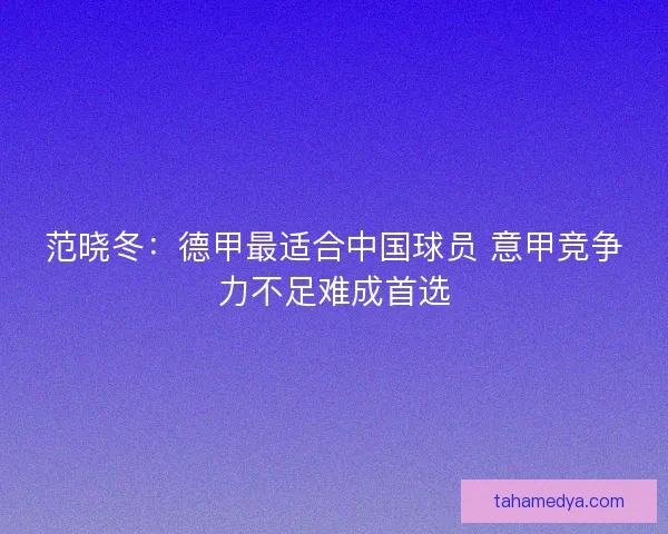 范晓冬：德甲最适合中国球员 意甲竞争力不足难成首选